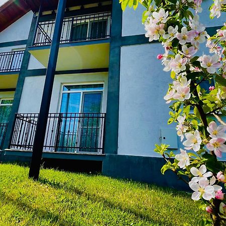 Vila Salzburg Hotel Ocna Sibiului Exterior photo