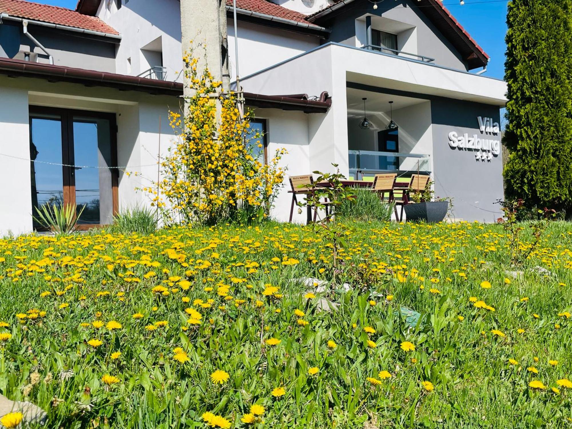 Vila Salzburg Hotel Ocna Sibiului Exterior photo